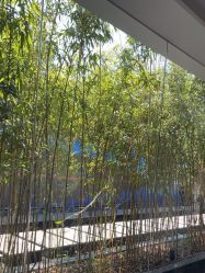 -爱儿美儿童摄影(朝阳公园店)