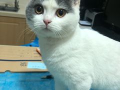 -芭比堂宠物医院·全科爱猫医院·仁德分院