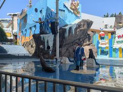 -海合安成都极地海洋公园