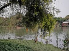 -海珠湖公园