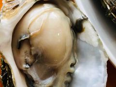 -南蚝小贝海鲜特色餐厅(南澳岛店)