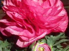 -寻龙山风景旅游区