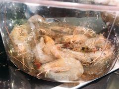活虾-和福顺·牛肉海鲜焖锅(汕头金平万达广场店)