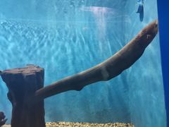 -石林冰雪海洋世界