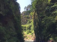 -汤旺河林海奇石景区