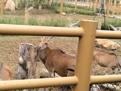 -武汉动物园