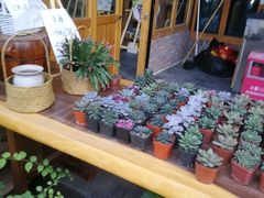 -花溪雨·森林餐厅(石基店)