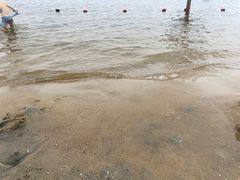 -碧海金沙