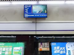 -望京西(地铁站)