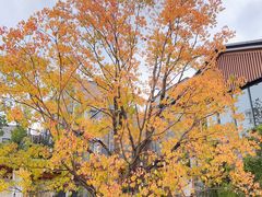 -天目湖涵田半山温泉