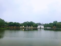 -曹州牡丹园