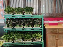 盆盆蔬菜-天和晟烤鸭店(玉泉西街店)