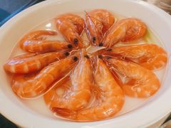 -新白鹿餐厅(百联中环店)