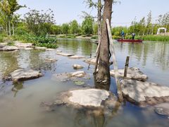 -上海长兴岛郊野公园