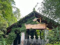 -腾冲洞山温泉村
