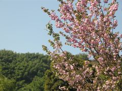 -四明山国家森林公园