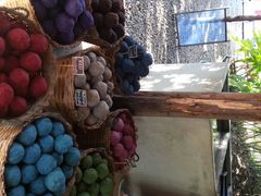 android_upload_pic-大象粑粑造纸公园