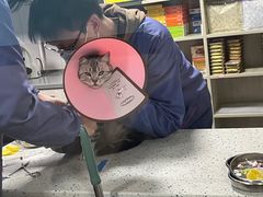 -半岛宠物医院24小时(科华中路店)