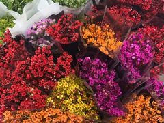 -循礼门鲜花花市(武汉循礼门店)