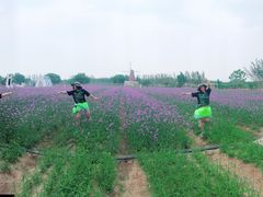 -渔岛海洋度假区