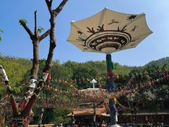 -西双版纳原始森林公园