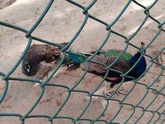 -南京金牛湖风景区