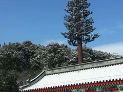 -八大处公园