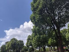 -九科绿洲