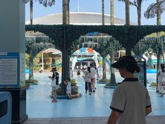 -海合安成都极地海洋公园