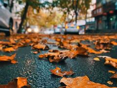 -里岛烤鱼(东港凯虹广场店)