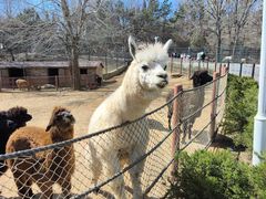 -大连森林动物园