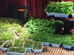 有机蔬菜-永安鱼庄·镇江菜(丁卯店)