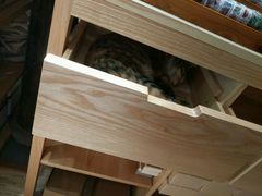 -猫的天空之城概念书店(杭州南宋御街店)