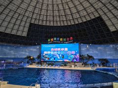 -泉城欧乐堡海洋极地世界