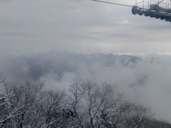 -牛背梁国家森林公园