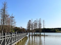 -海珠湖公园