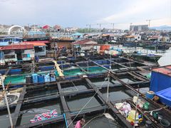 -蓝湾碧波·老字号·疍家非遗海上餐厅