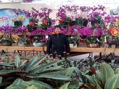 -荷兰花海