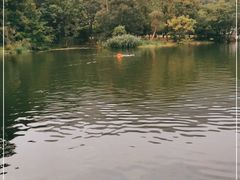 -紫霞湖公园