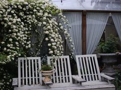 -Jo's Garden