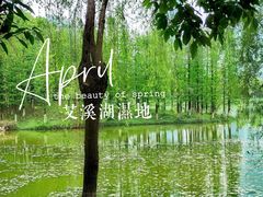 -艾溪湖湿地公园