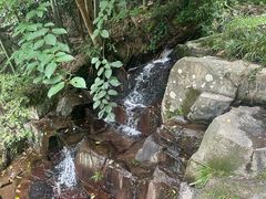 -莫干山风景区