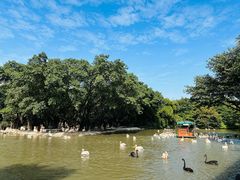-广州长隆飞鸟乐园