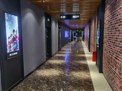 -SFC上影百联影城(川沙IMAX店)