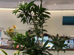 -fishtank鱼缸咖啡(三山街店)