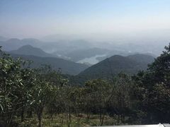 -清溪森林公园
