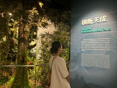 -四川大学博物馆