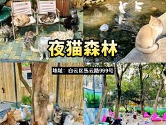 -咖法森林·咖啡  酒吧(天河店)