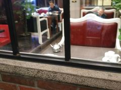 -老牌坊•鲁菜名店•地道济南菜(大观园商埠店)