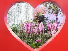 -海心沙亚运公园